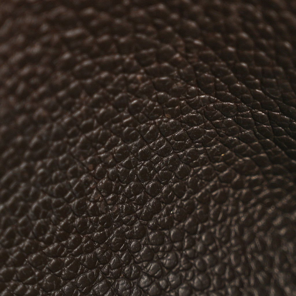 Louis Vuitton Empreinte Felicie Chain Wallet Zippered Insert Earth