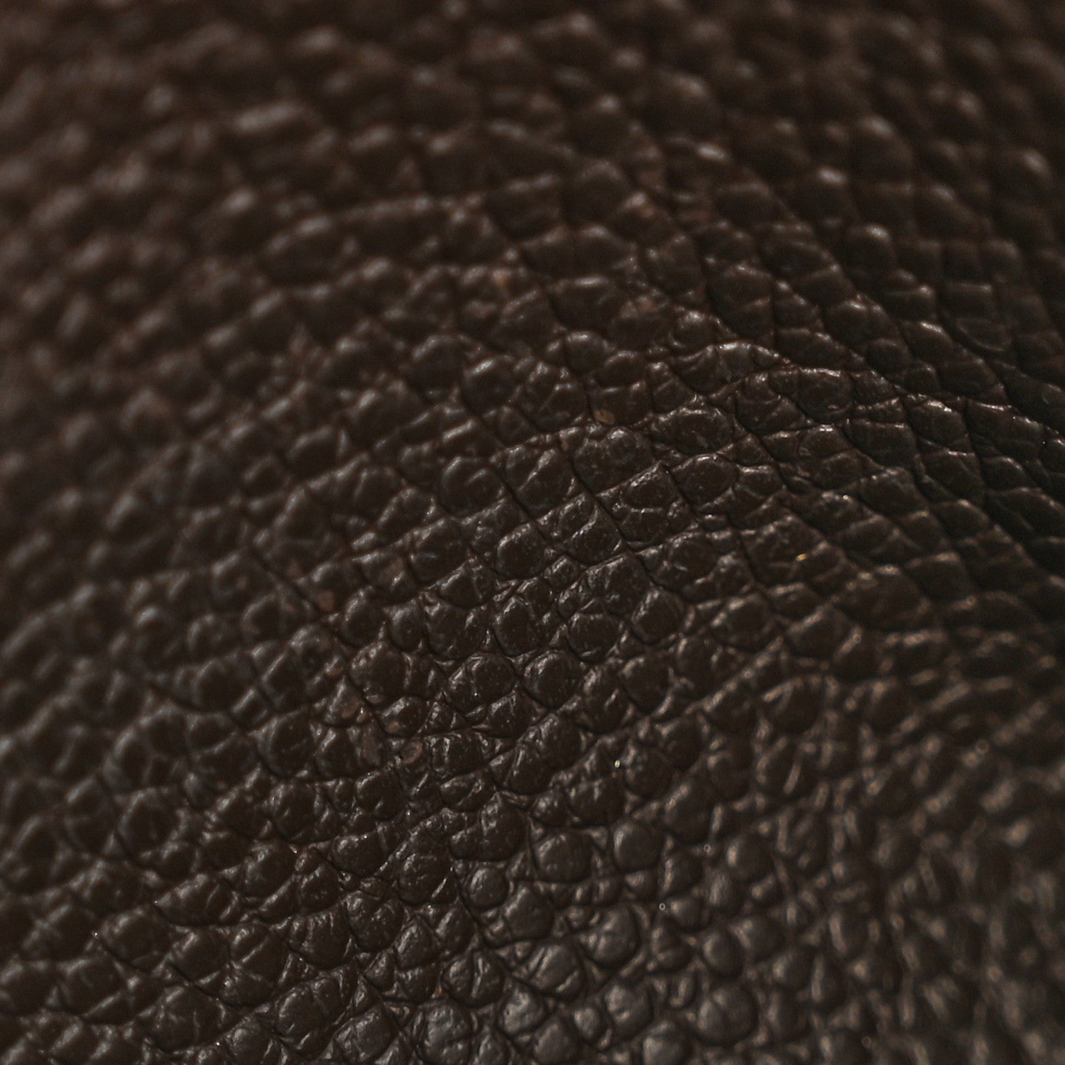 Louis Vuitton Empreinte Felicie Chain Wallet Zippered Insert Earth