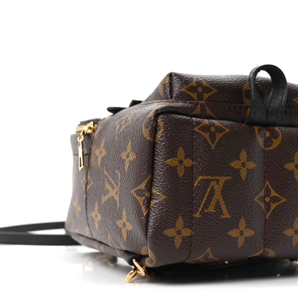 Louis Vuitton Monogram Palm Springs Backpack Mini