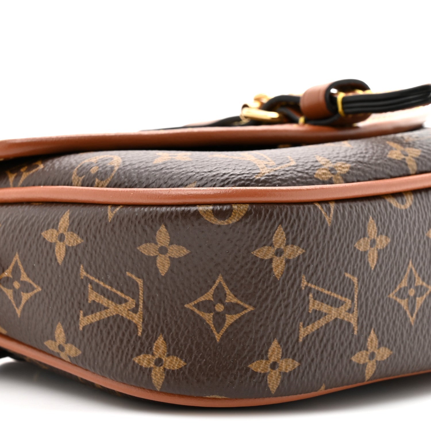 Louis Vuitton Monogram Solo