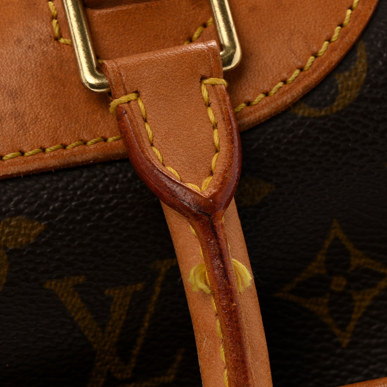 Louis Vuitton Monogram Deauville