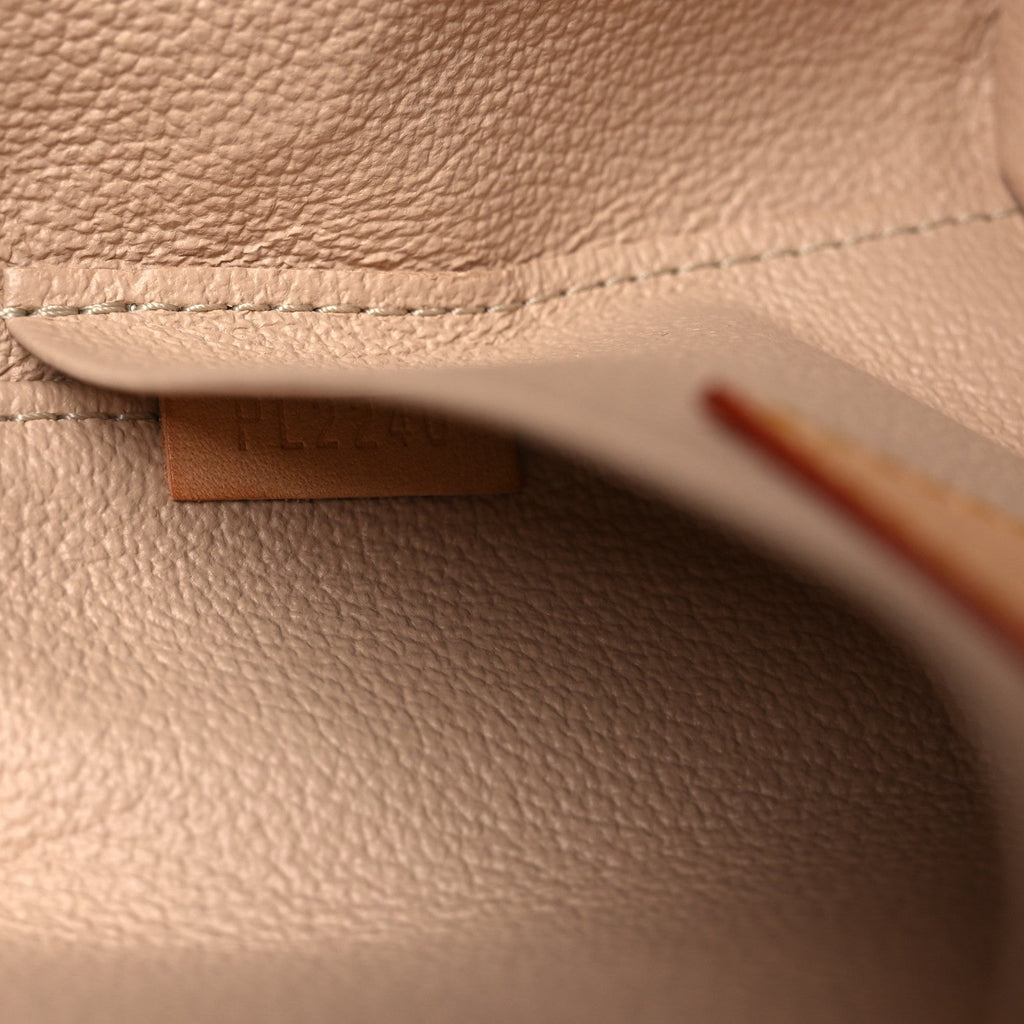 Louis Vuitton Monogram Nice Mini