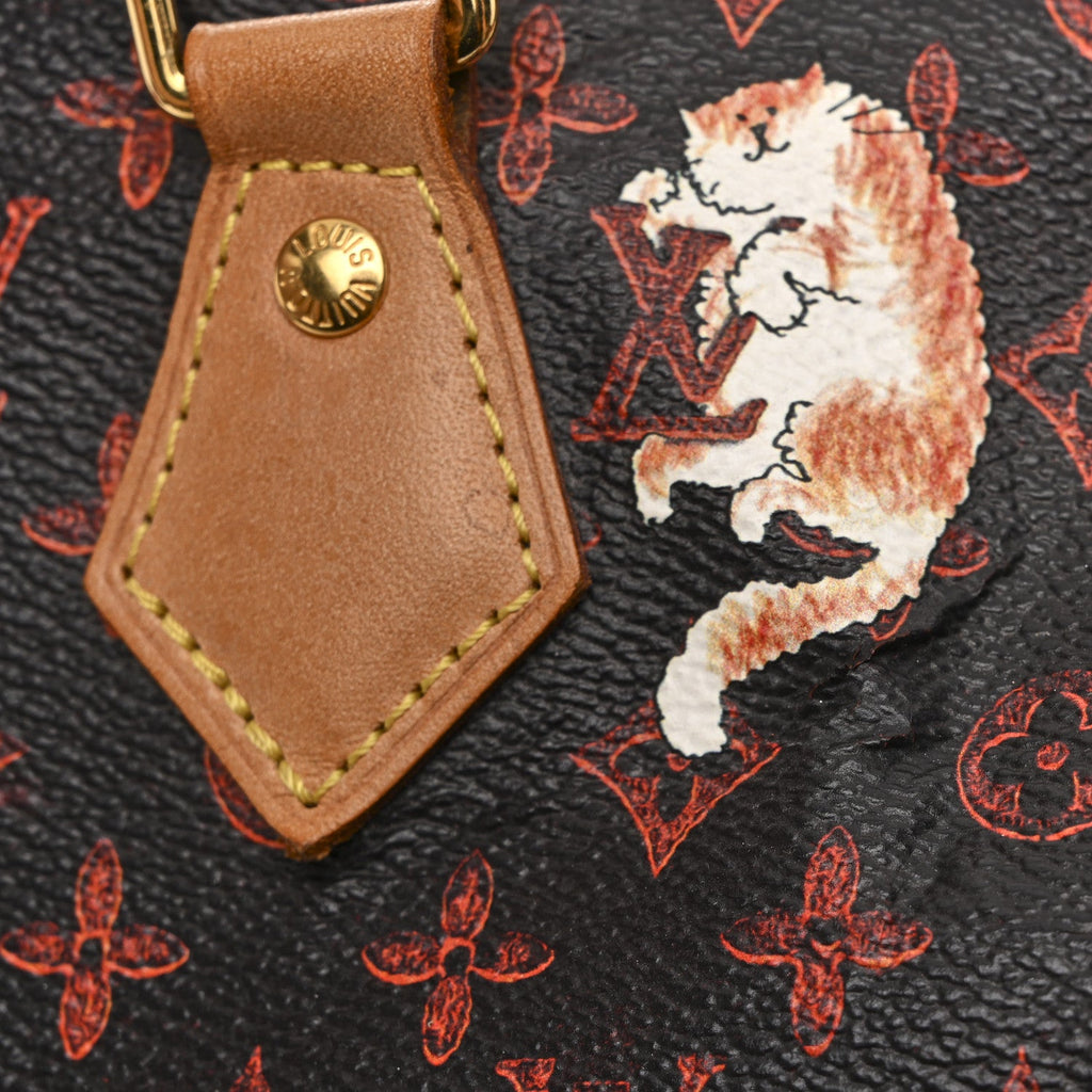 Louis Vuitton Catogram Speedy Bandouliere 30 Marron