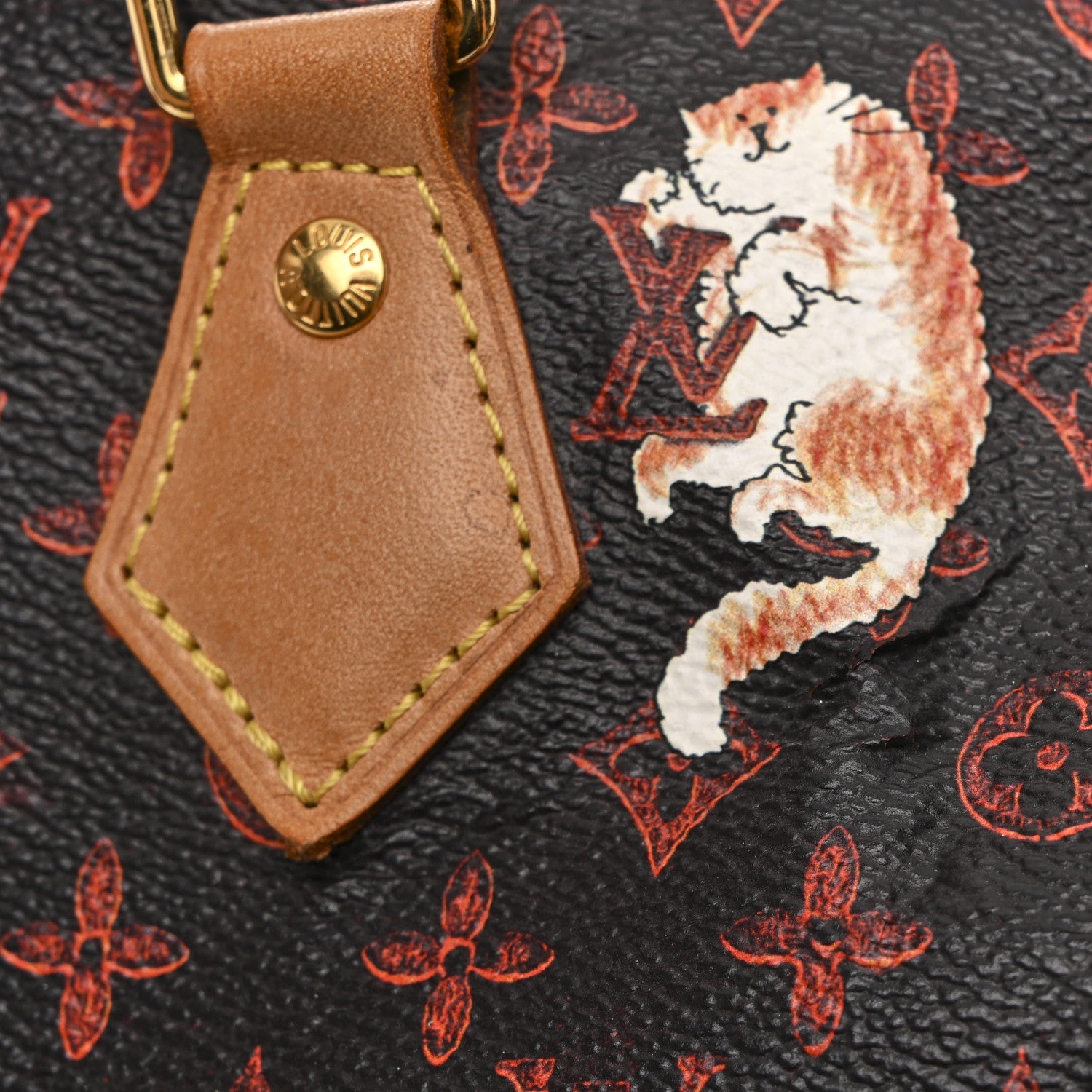 Louis Vuitton Catogram Speedy Bandouliere 30 Marron