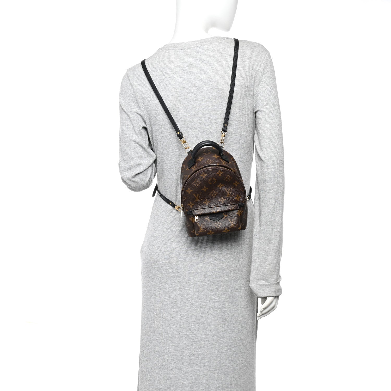 Louis Vuitton Monogram Palm Springs Backpack Mini