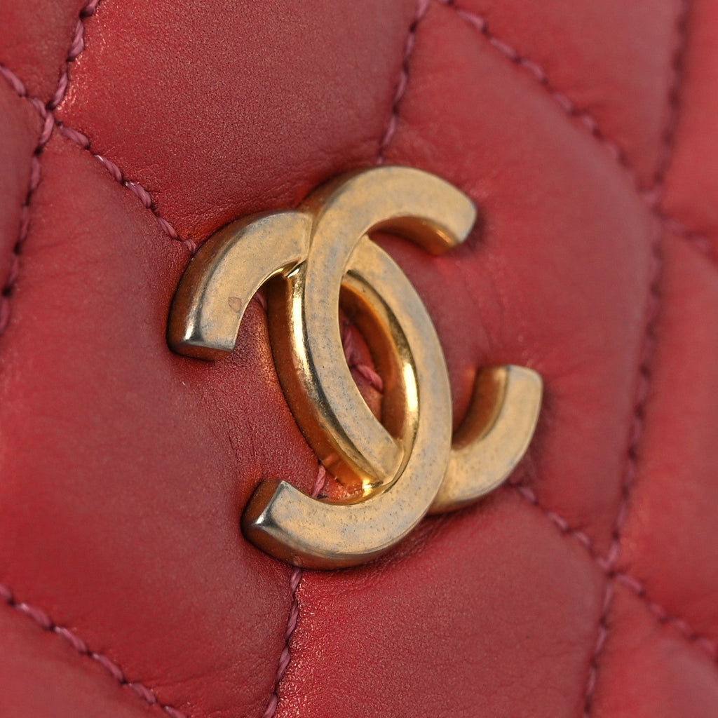 Chanel Calfskin Quilted Day Trips Camera Case Pink