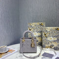 Dior Bags - 491
