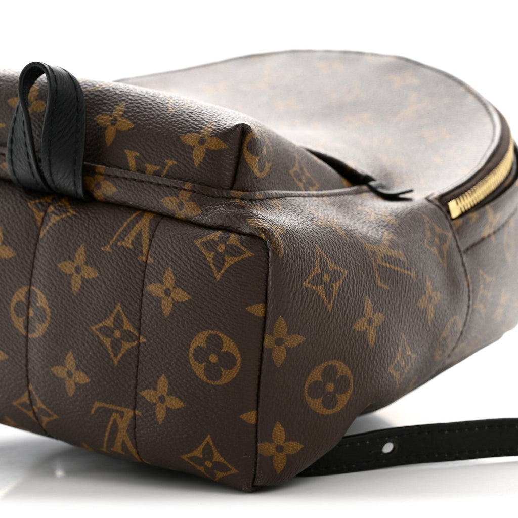 Louis Vuitton Monogram Palm Springs Backpack PM