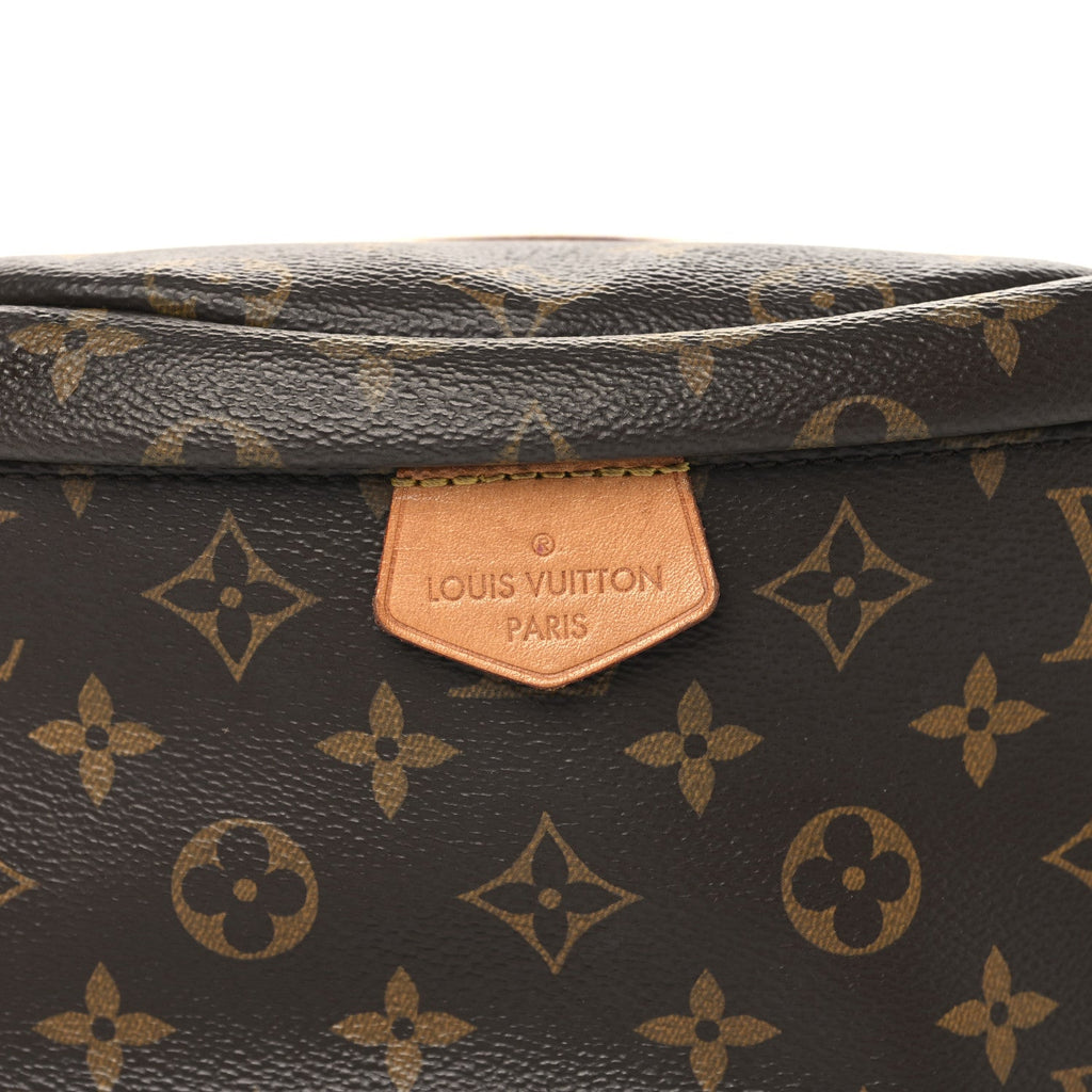 Louis Vuitton Monogram Bumbag
