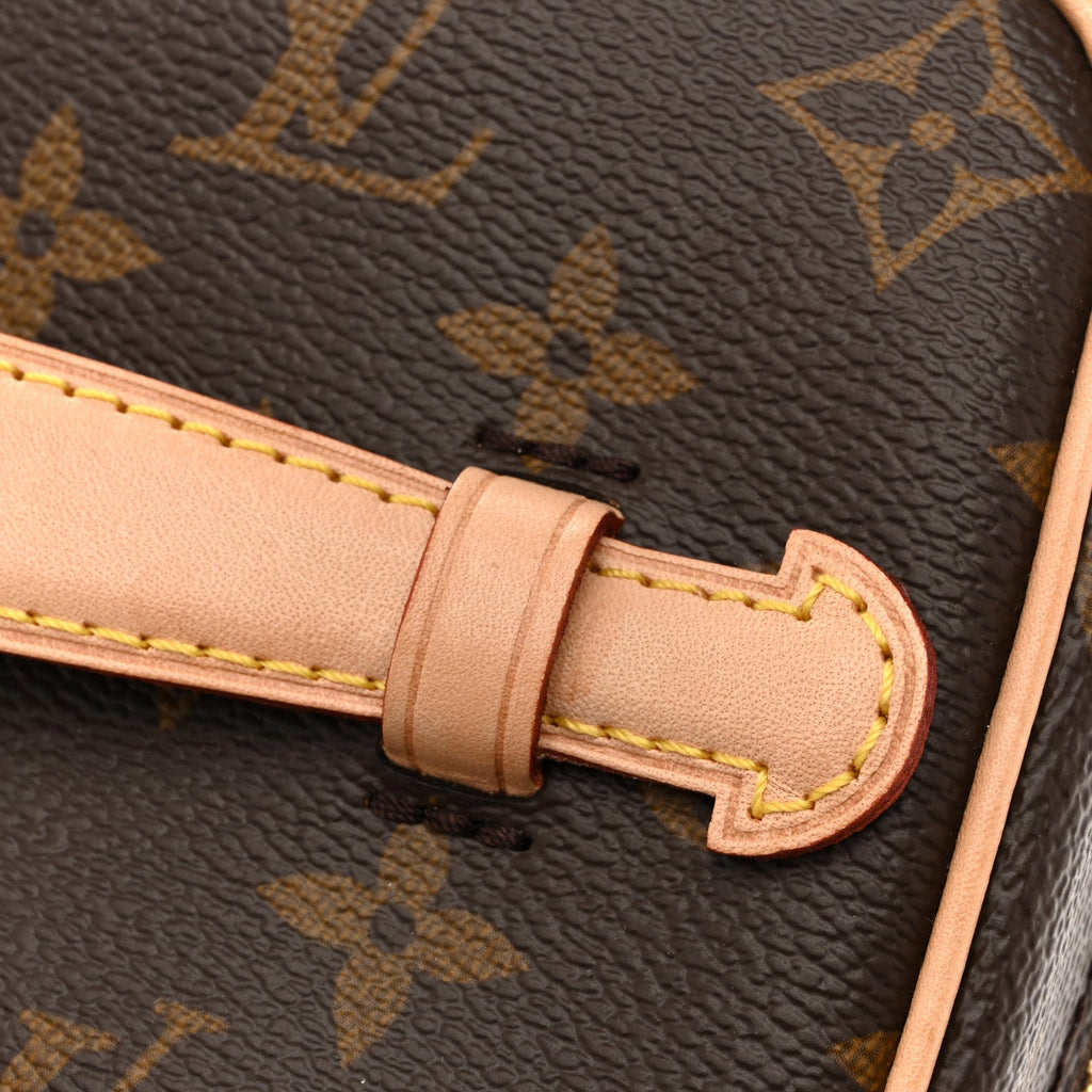 Louis Vuitton Monogram Nice Mini