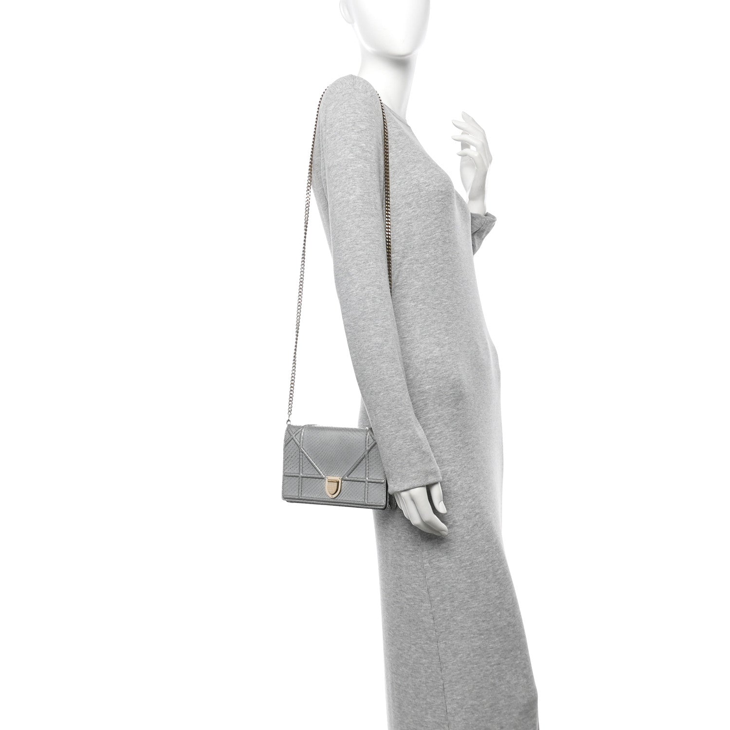 Christian Dior Snakeskin Diorama Wallet on Chain Pouch Silver