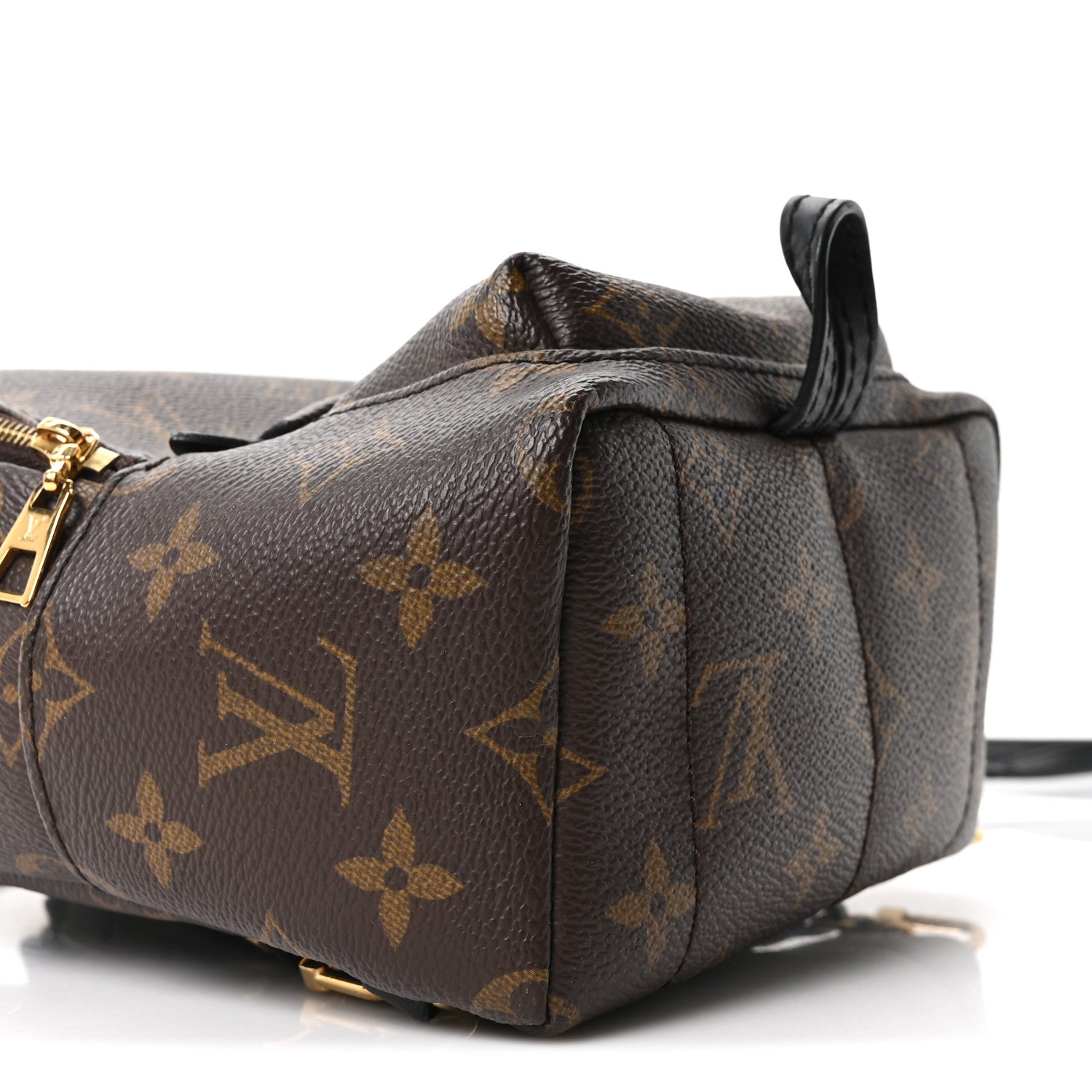 Louis Vuitton Monogram Palm Springs Backpack Mini