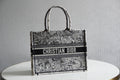 Dior Bags - 3841