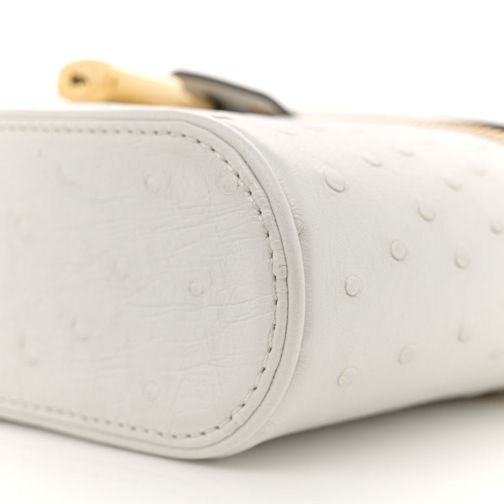 Louis Vuitton Ostrich Vanity Chain Pouch