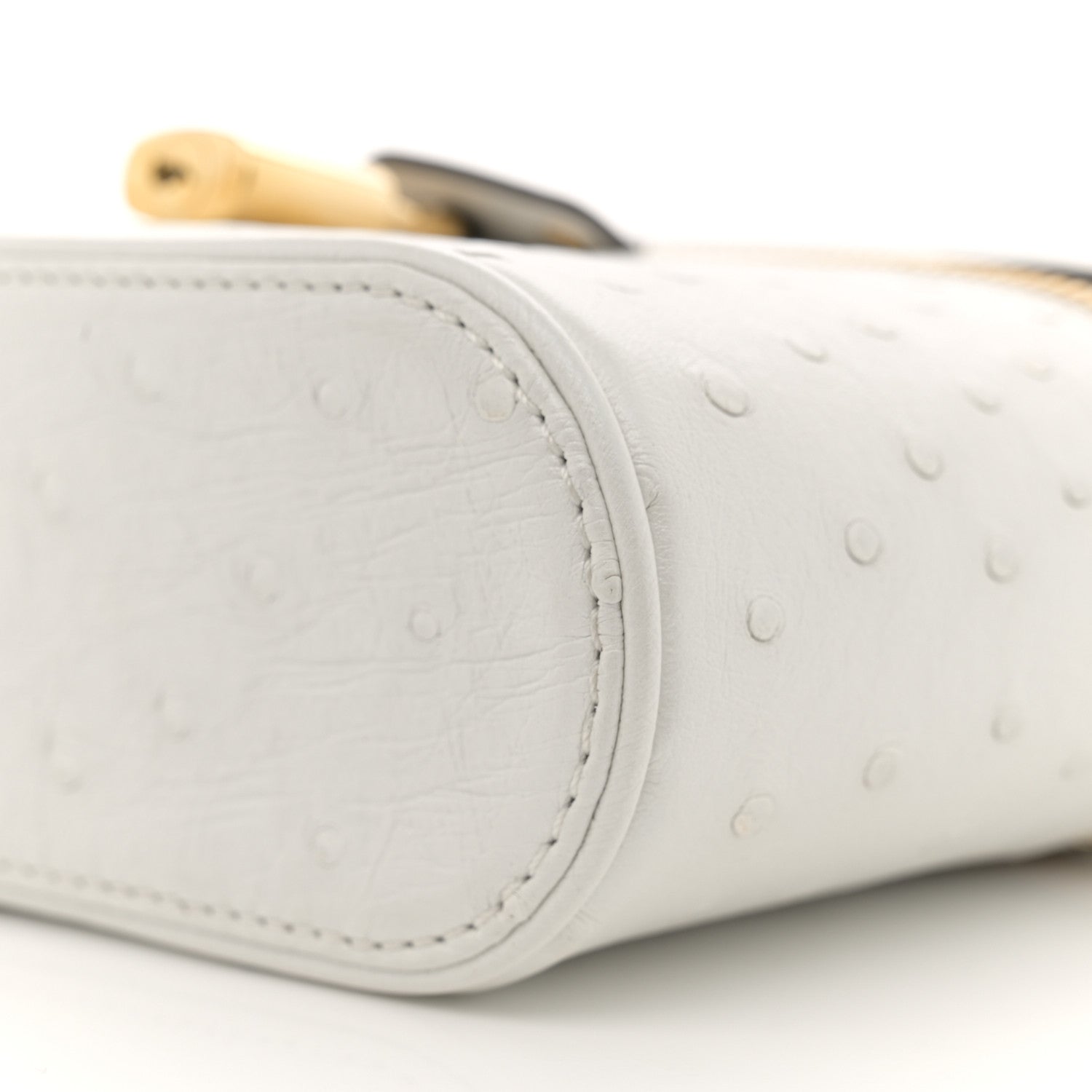 Louis Vuitton Ostrich Vanity Chain Pouch