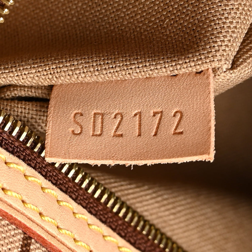Louis Vuitton Monogram Delightful PM