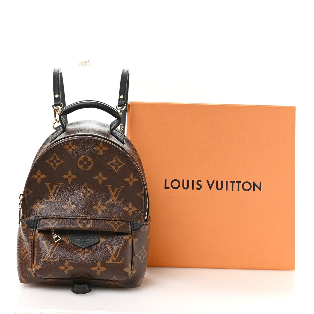 Louis Vuitton Monogram Palm Springs Backpack Mini