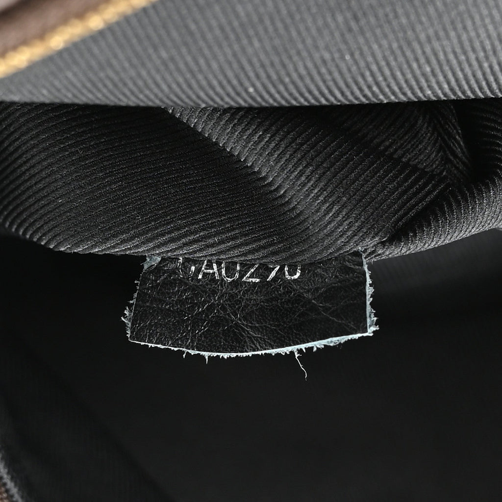 Louis Vuitton Monogram Palm Springs Backpack Mini