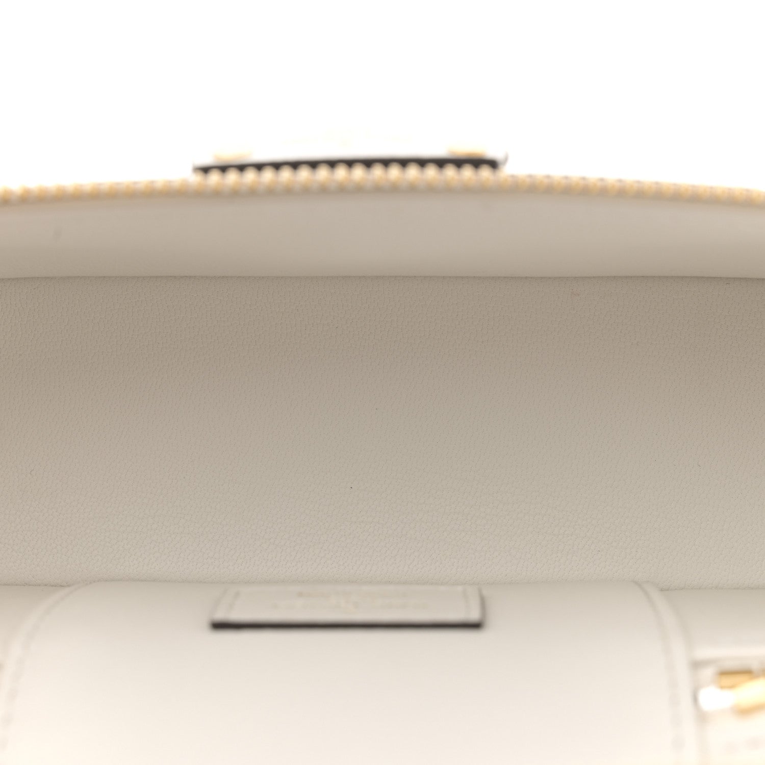 Louis Vuitton Ostrich Vanity Chain Pouch