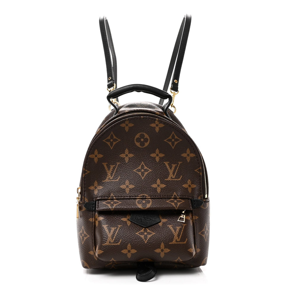 Louis Vuitton Monogram Palm Springs Backpack Mini