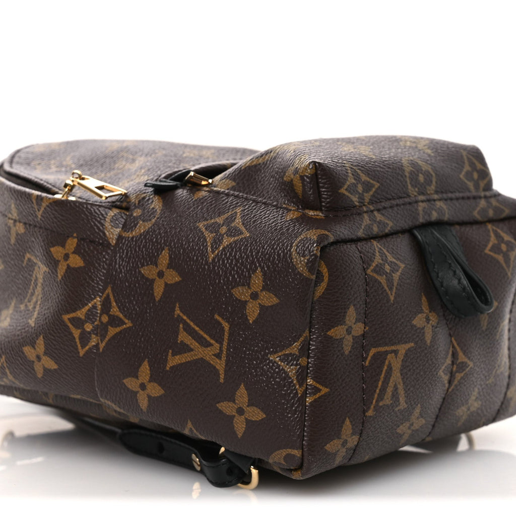 Louis Vuitton Monogram Palm Springs Backpack Mini