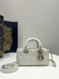 Dior Bags - 1609