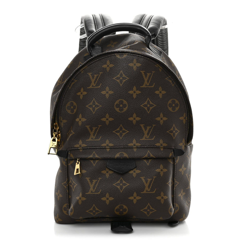 Louis Vuitton Monogram Palm Springs Backpack PM
