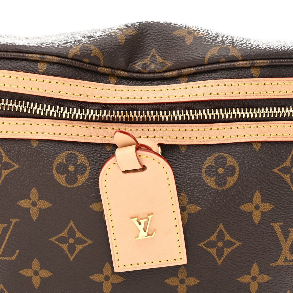 Louis Vuitton Monogram High Rise Bumbag