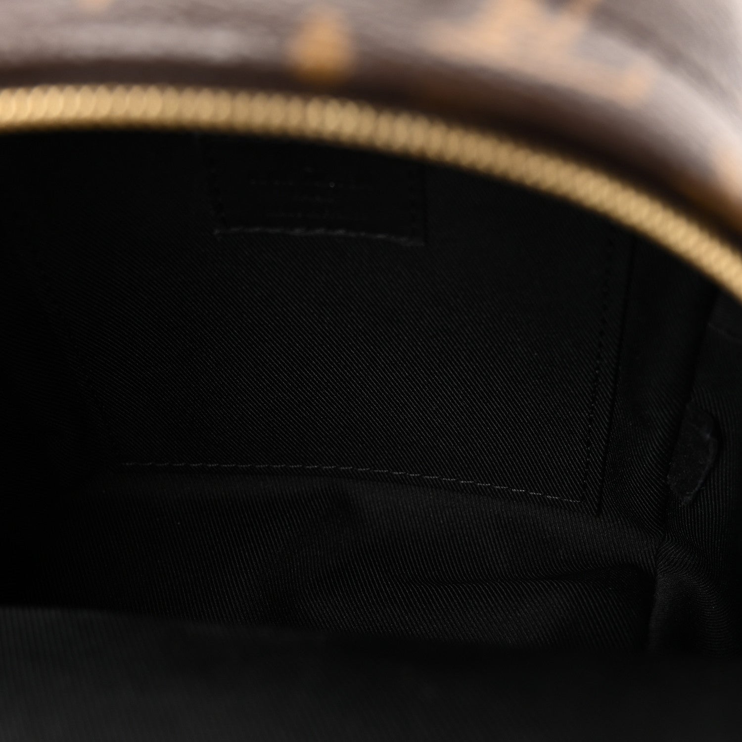 Louis Vuitton Monogram Palm Springs Backpack Mini