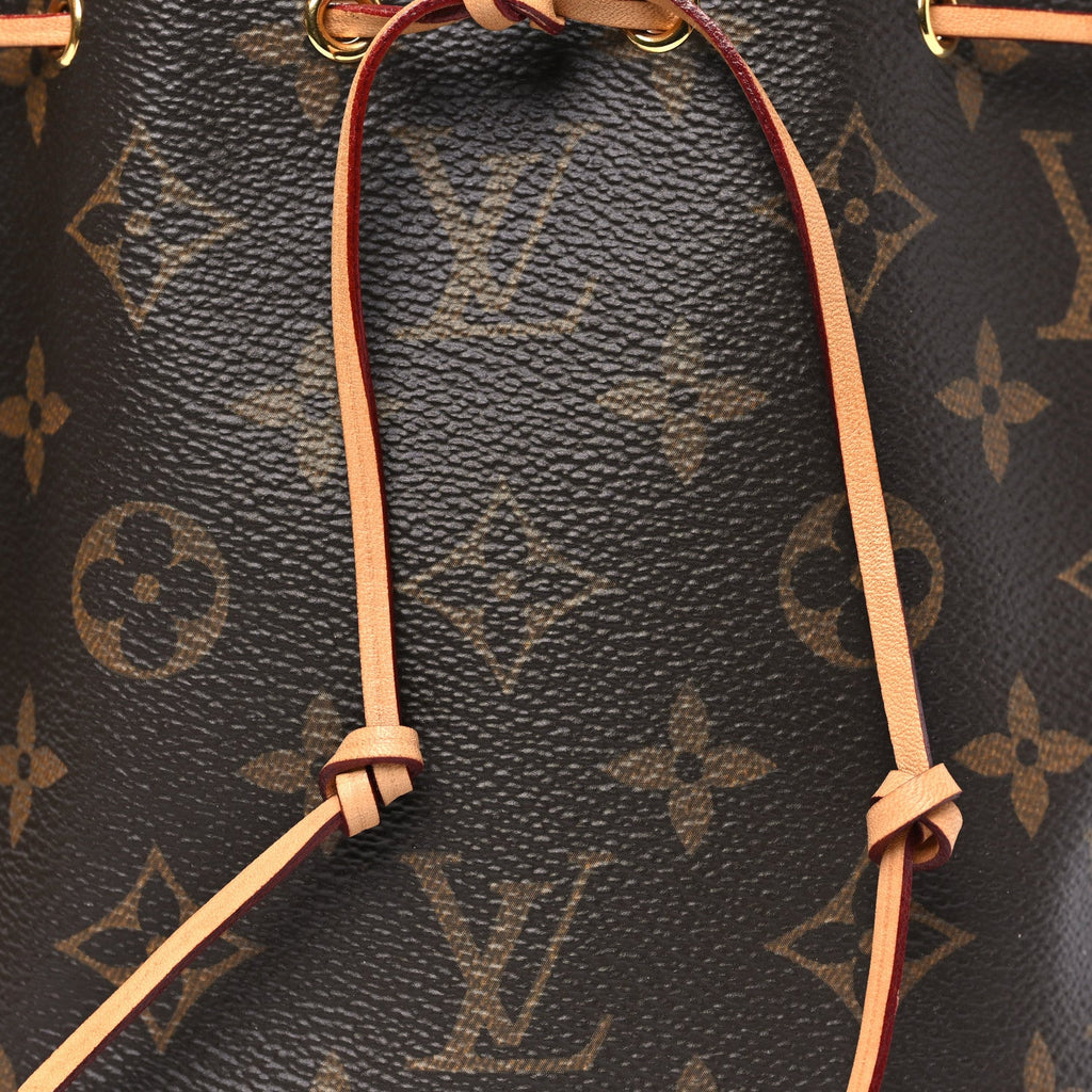 Louis Vuitton Monogram Nano Noe