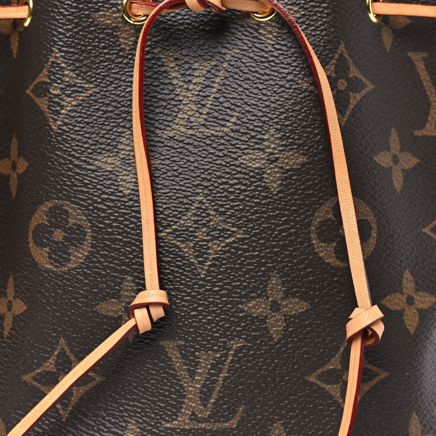 Louis Vuitton Monogram Nano Noe
