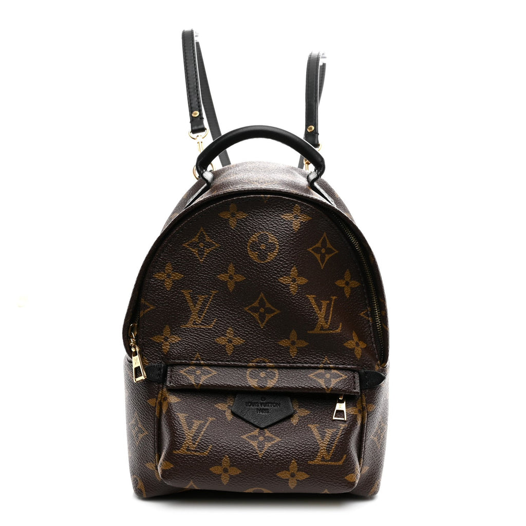 Louis Vuitton Monogram Palm Springs Backpack Mini