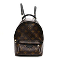 Louis Vuitton Monogram Palm Springs Backpack Mini