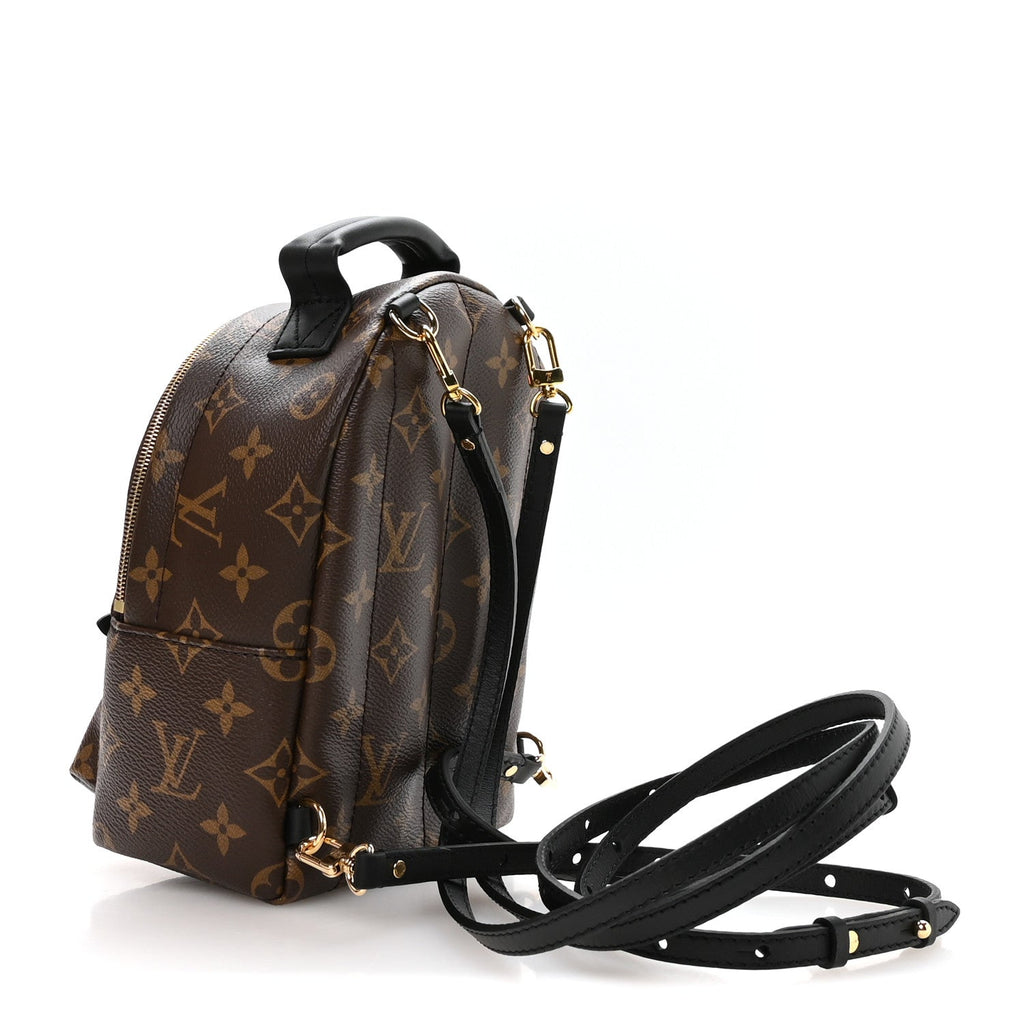 Louis Vuitton Monogram Palm Springs Backpack Mini