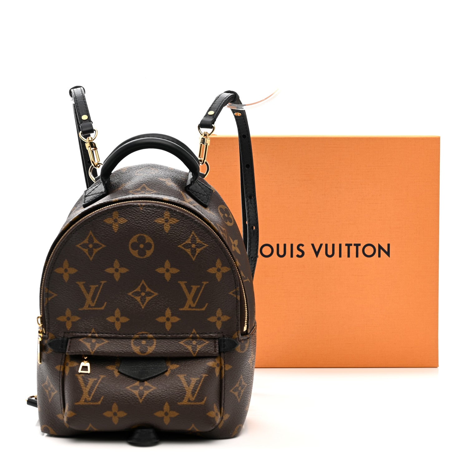 Louis Vuitton Monogram Palm Springs Backpack Mini