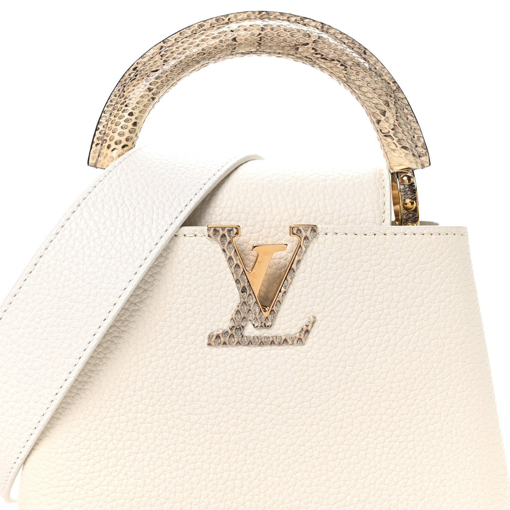 Louis Vuitton Taurillon Ayers Capucines Mini White Snow White