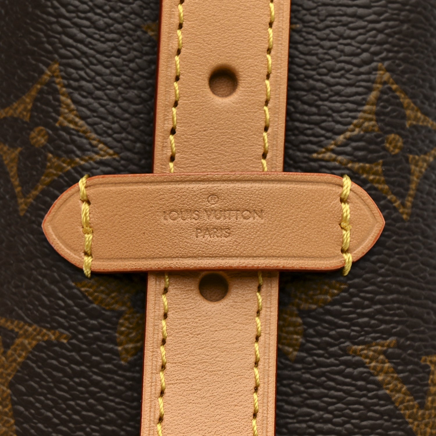 Louis Vuitton Monogram Carryall PM