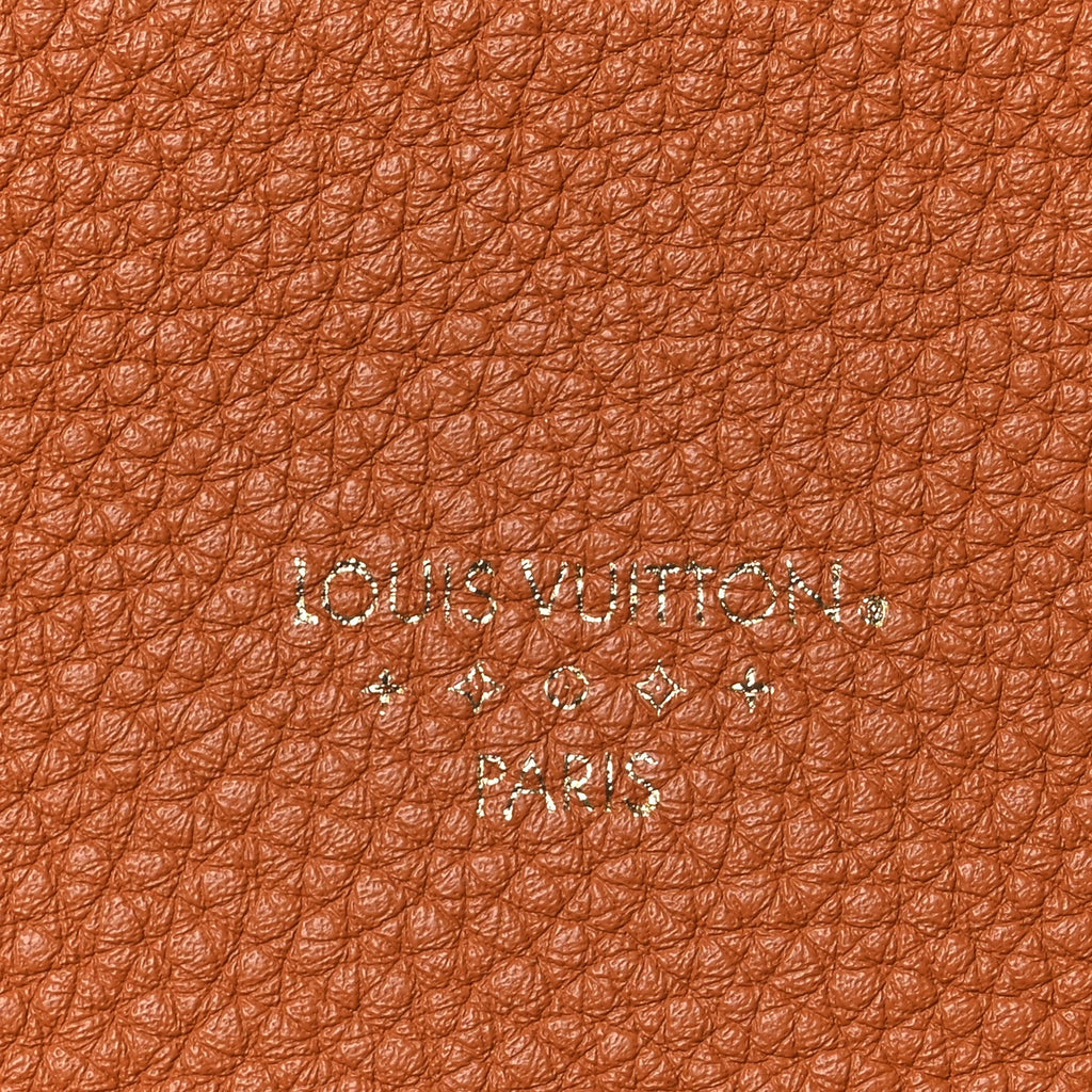 Louis Vuitton Grained Calfskin LV Pont 9 Soft MM Golden Siena