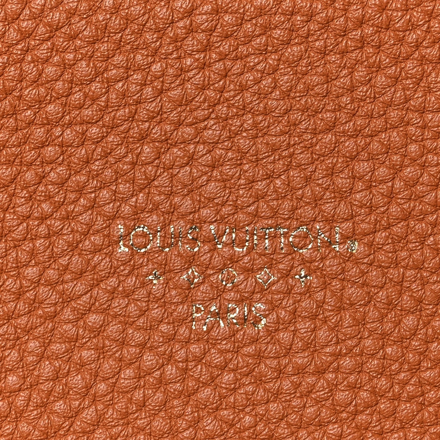 Louis Vuitton Grained Calfskin LV Pont 9 Soft MM Golden Siena