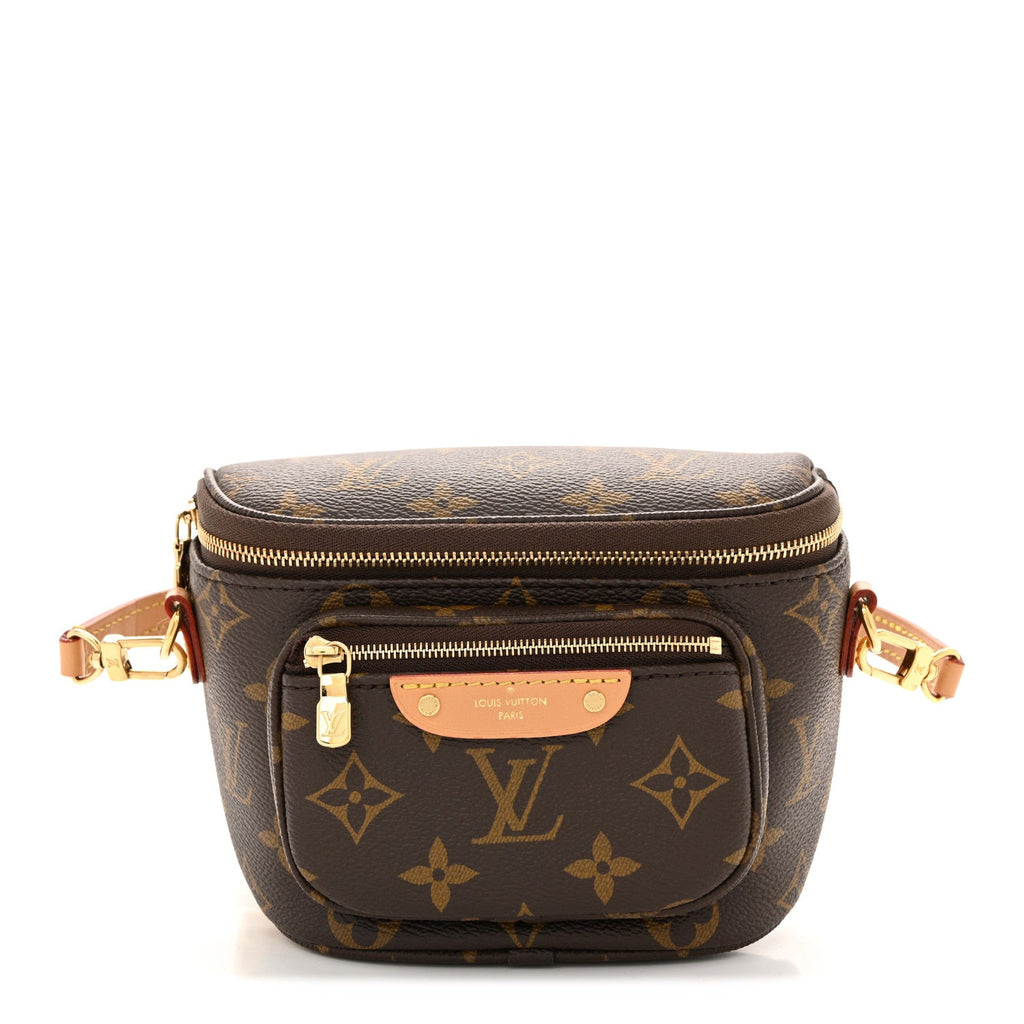 Louis Vuitton Monogram Mini Bumbag
