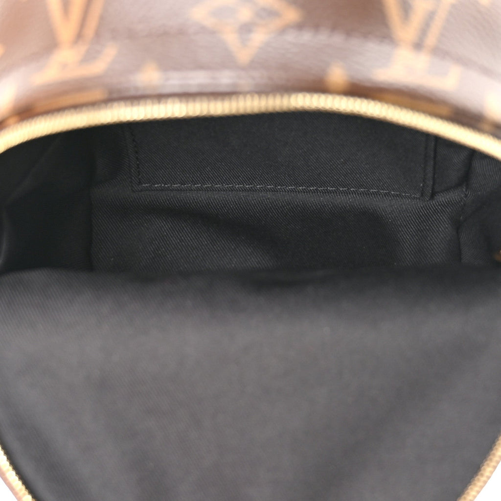 Louis Vuitton Monogram Palm Springs Backpack Mini