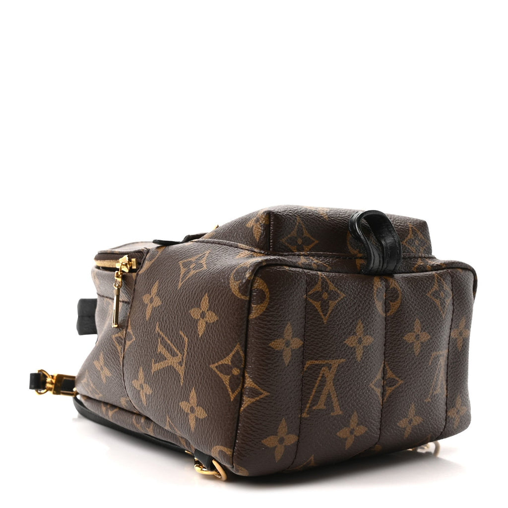 Louis Vuitton Monogram Palm Springs Backpack Mini