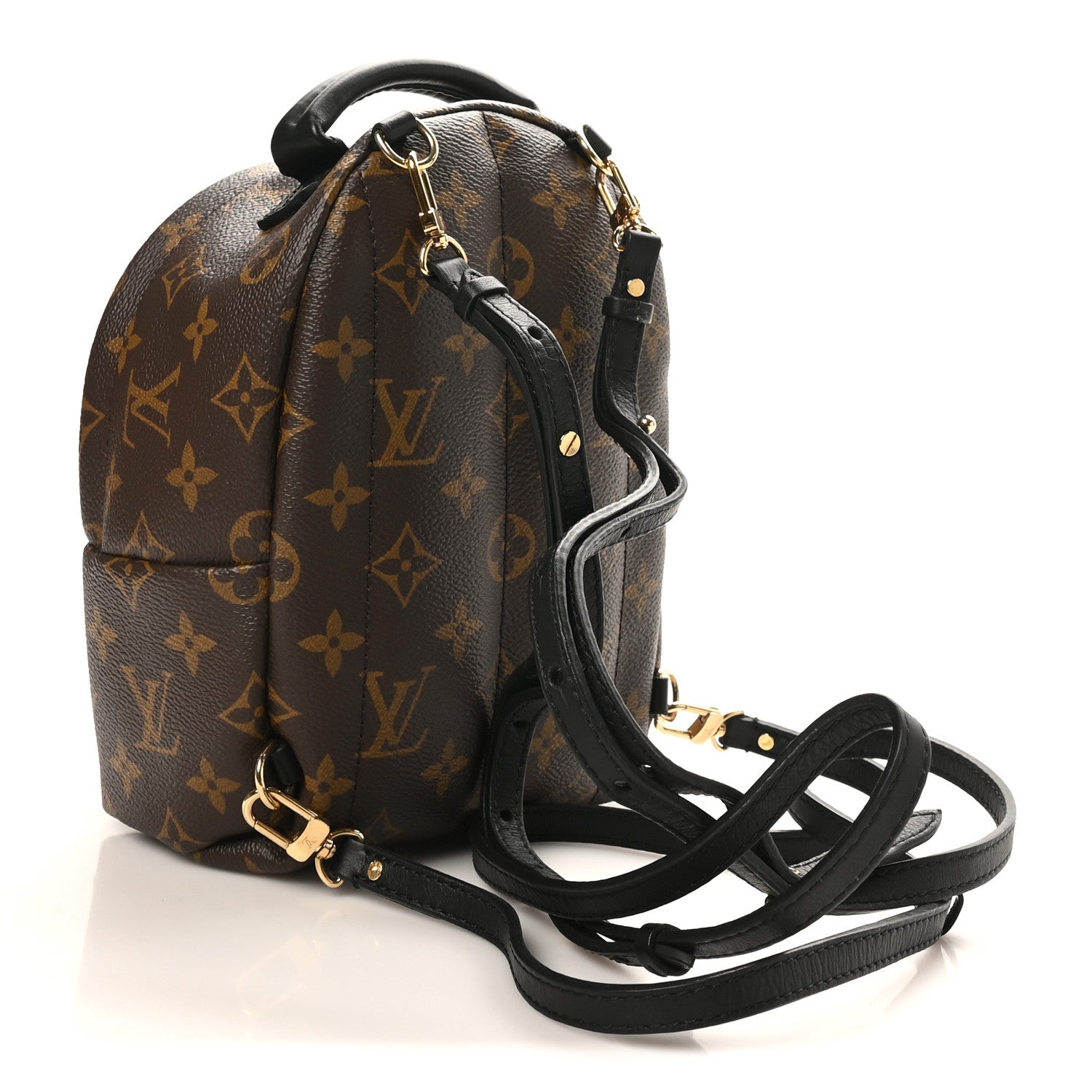 Louis Vuitton Monogram Palm Springs Backpack Mini