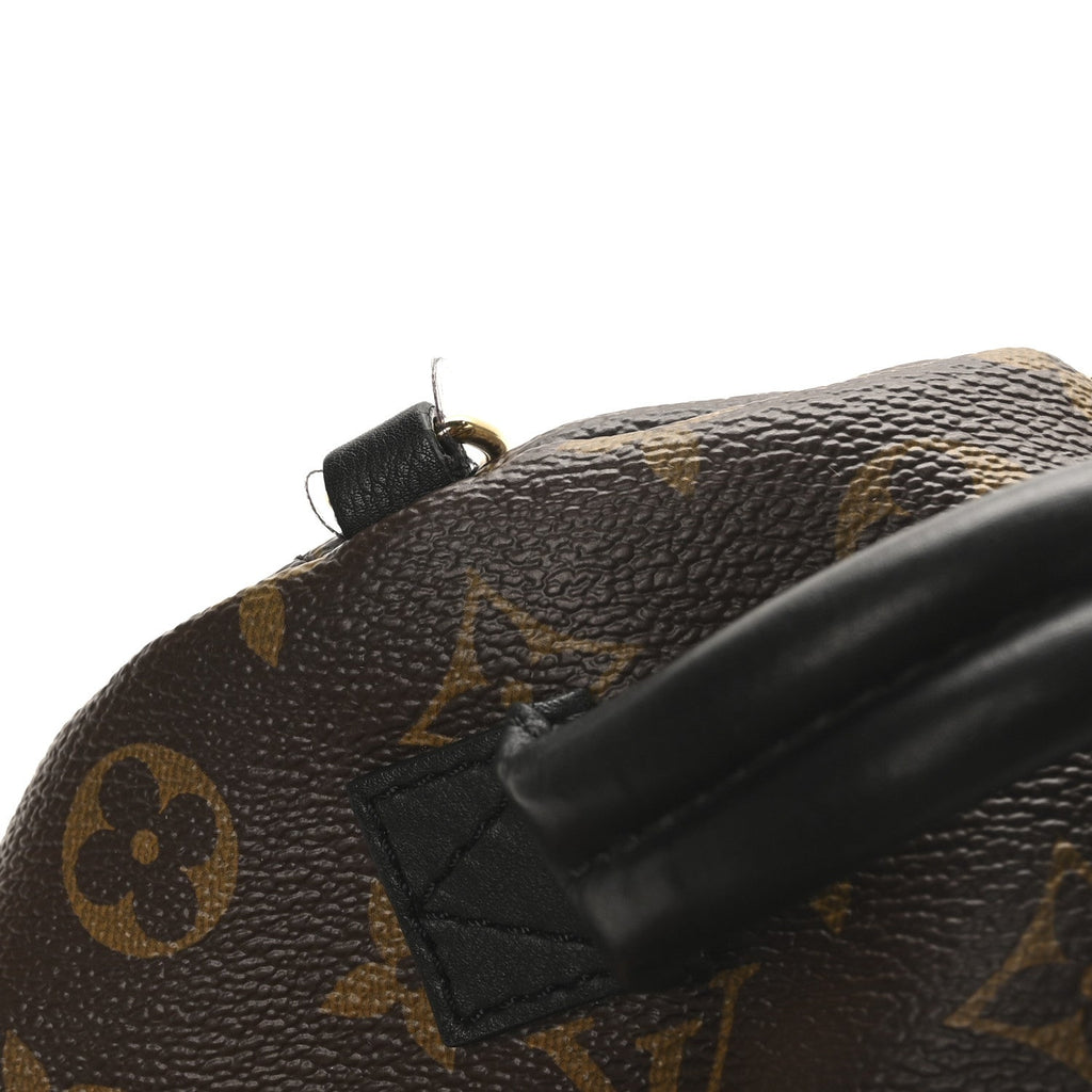 Louis Vuitton Monogram Palm Springs Backpack Mini