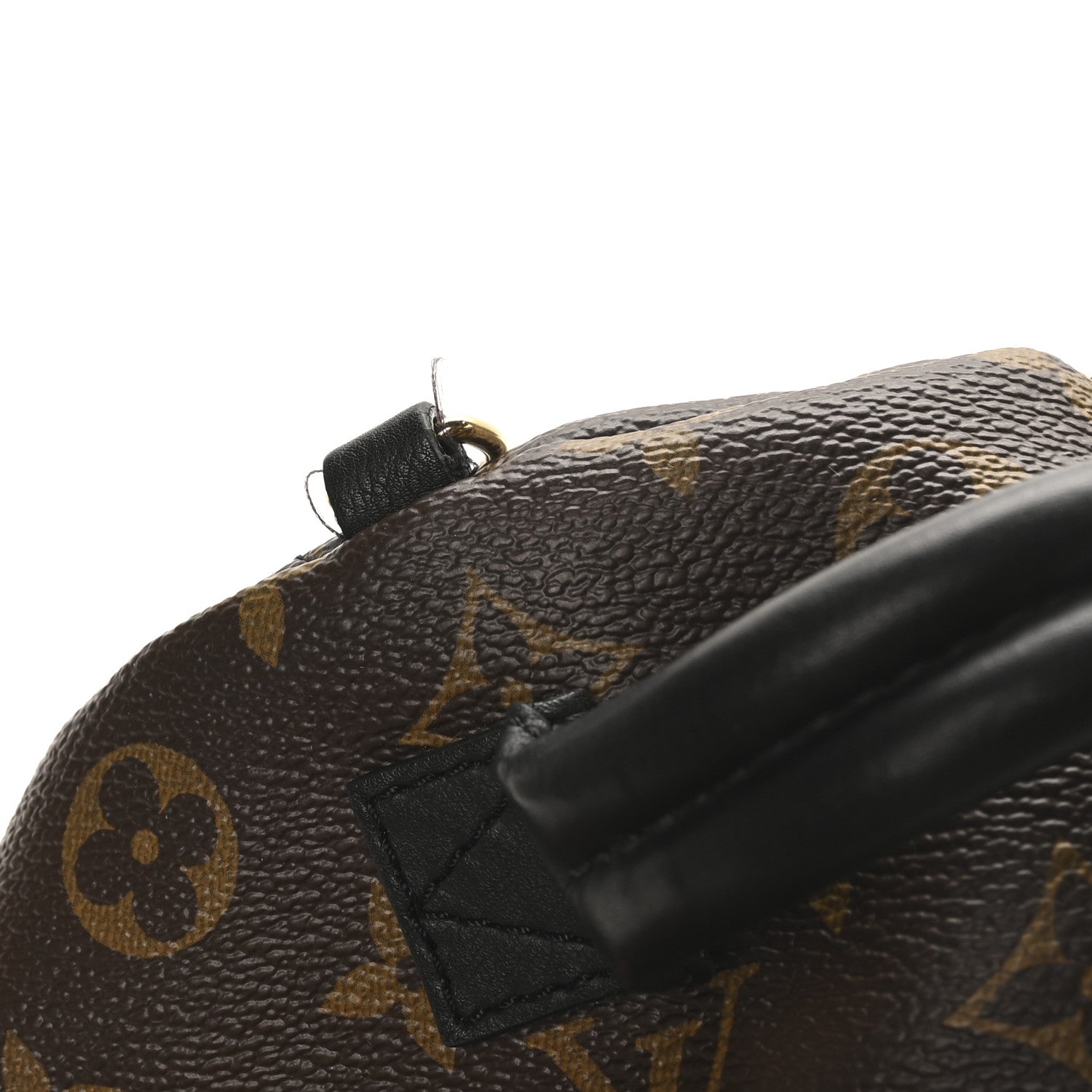 Louis Vuitton Monogram Palm Springs Backpack Mini
