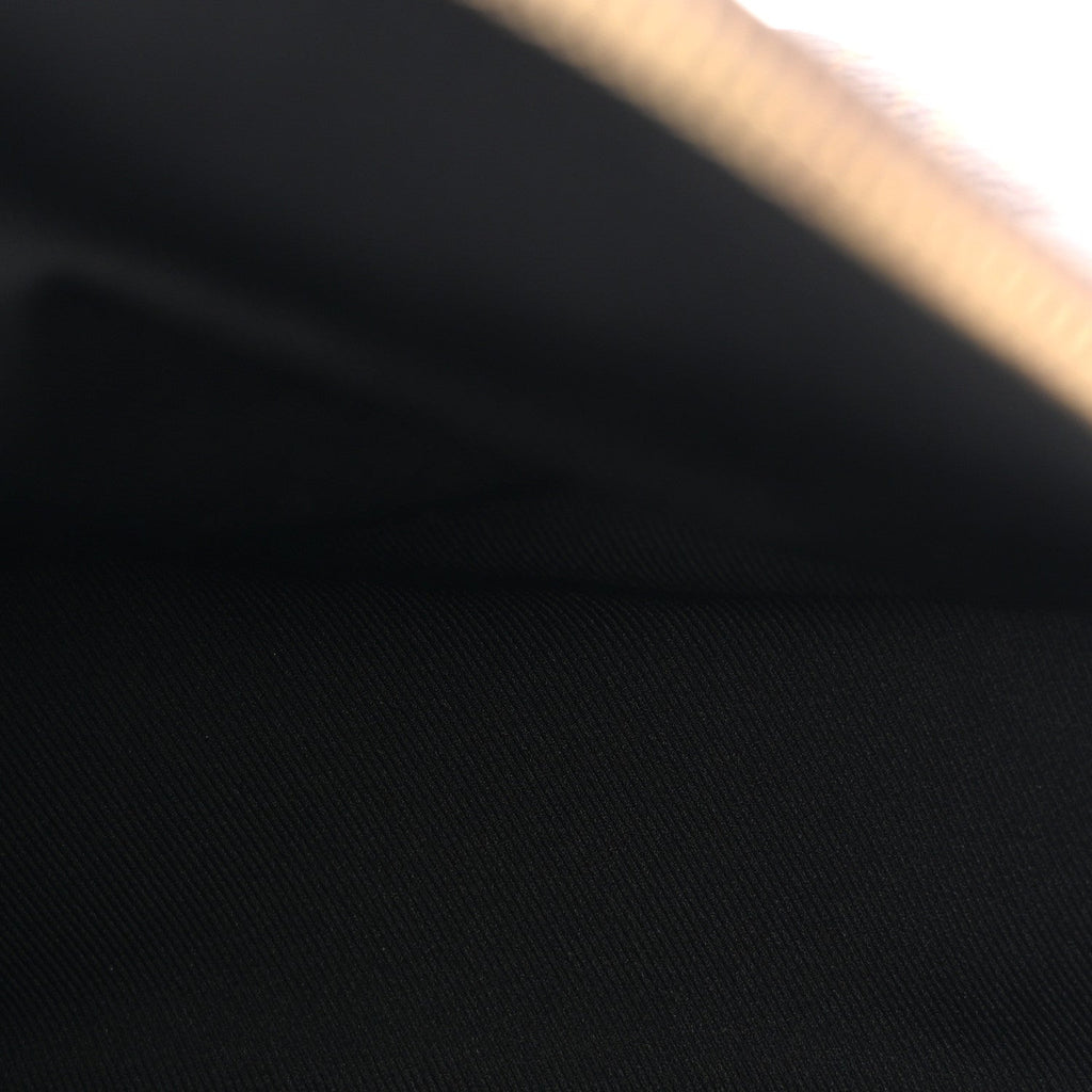 Louis Vuitton Monogram Palm Springs Backpack Mini