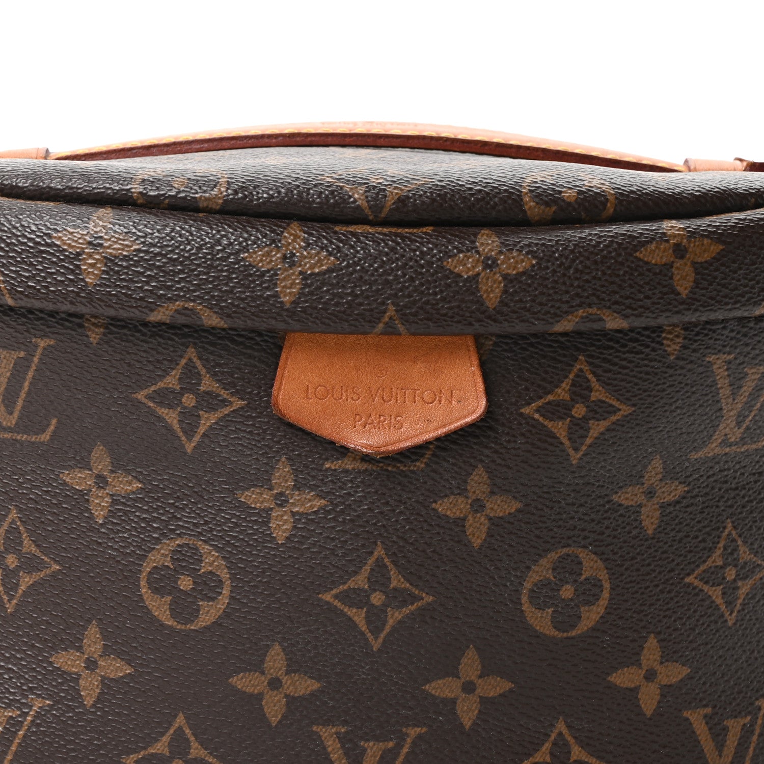 Louis Vuitton Monogram Bumbag