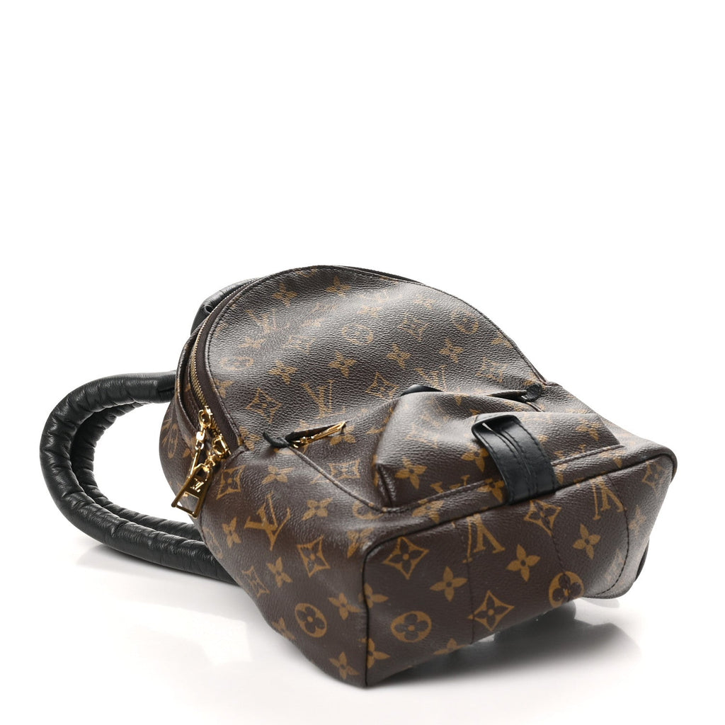 Louis Vuitton Monogram Palm Springs Backpack PM