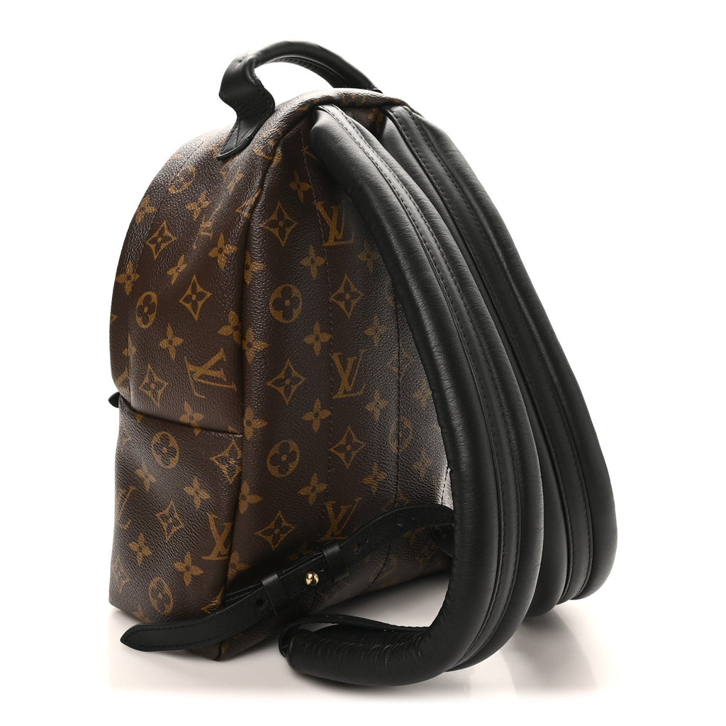Louis Vuitton Reverse Monogram Palm Springs Backpack PM