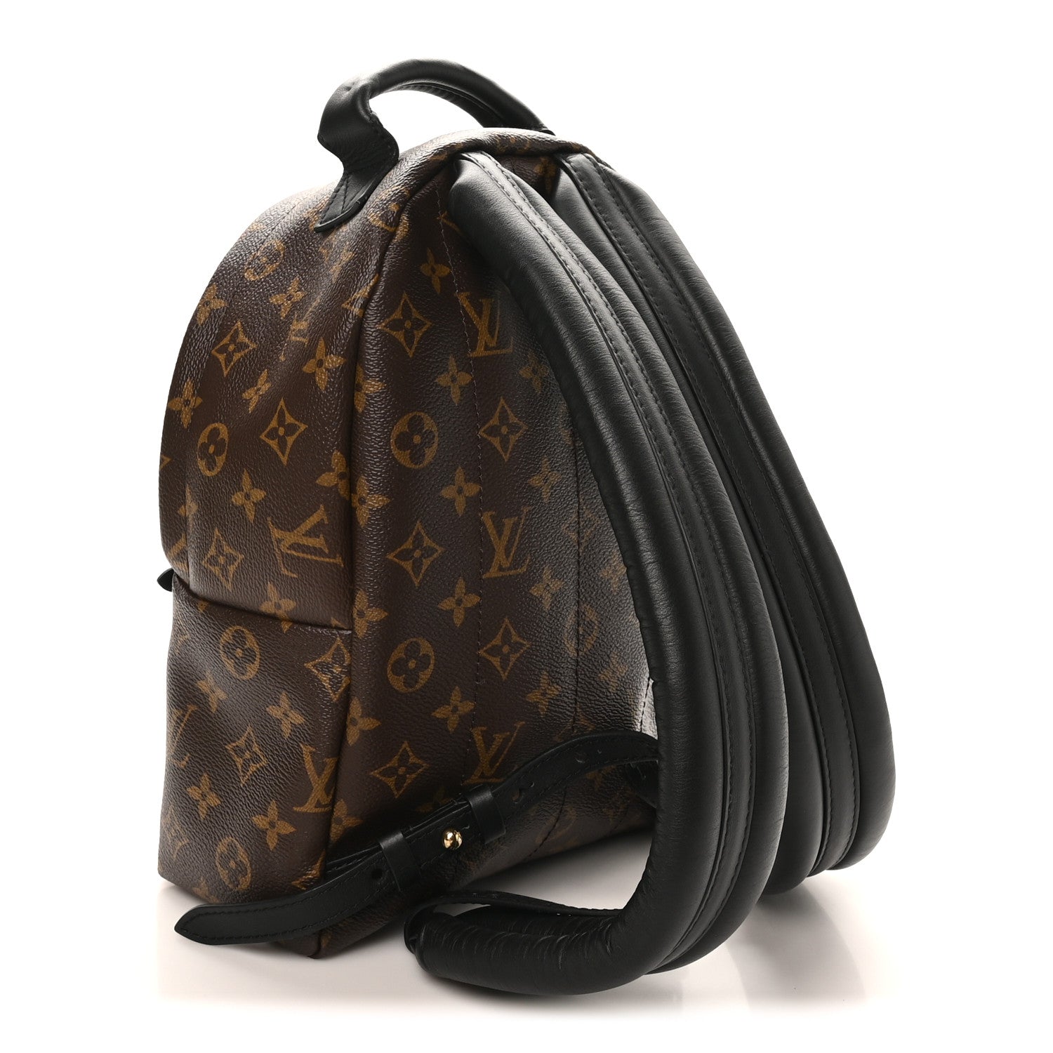Louis Vuitton Reverse Monogram Palm Springs Backpack PM